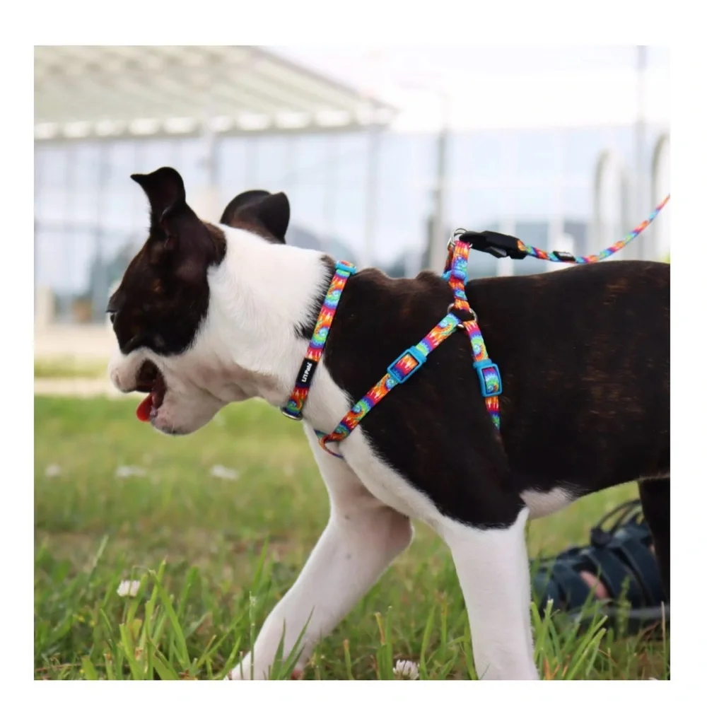 NWOT Li'I Pals Comfort Wrap Adjustable Dog or Small Pet Harness, Flames